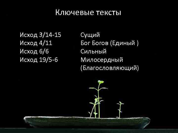 Ключевые тексты Исход 3/14 -15 Исход 4/11 Исход 6/6 Исход 19/5 -6 Сущий Богов