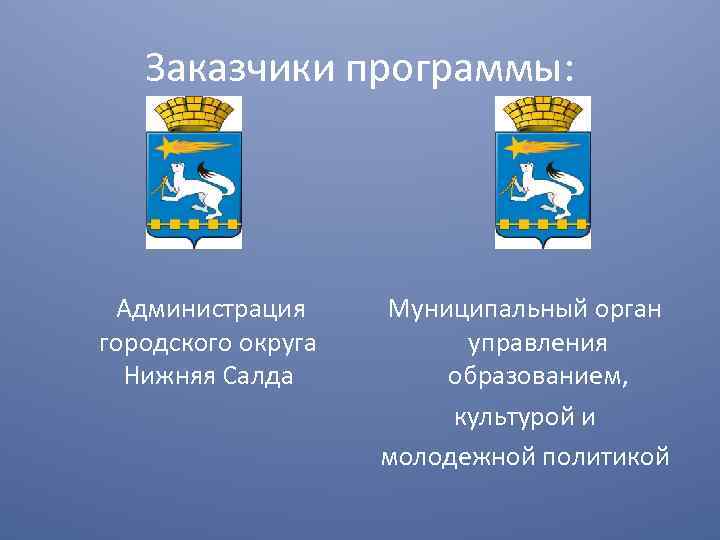 Заказчики программы: Администрация городского округа Нижняя Салда Муниципальный орган управления образованием, культурой и молодежной