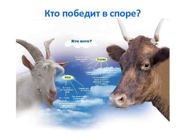 Кто победит в споре? 