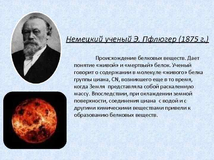 Немецкий ученый Э. Пфлюгер (1875 г. ) Происхождение белковых веществ. Дает понятие «живой» и