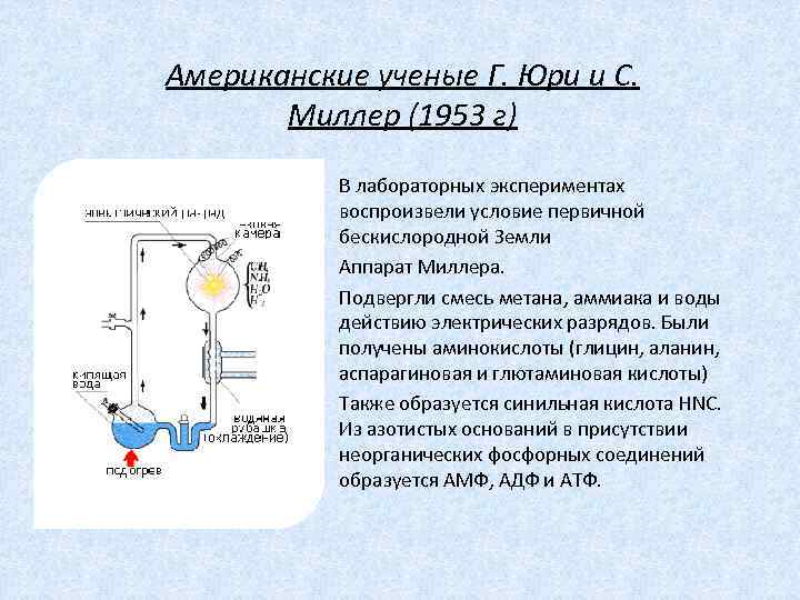 Американские ученые Г. Юри и С. Миллер (1953 г) В лабораторных экспериментах воспроизвели условие