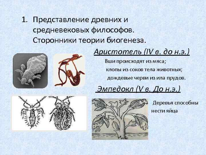 1. Представление древних и средневековых философов. Сторонники теории биогенеза. Аристотель (IV в. до н.