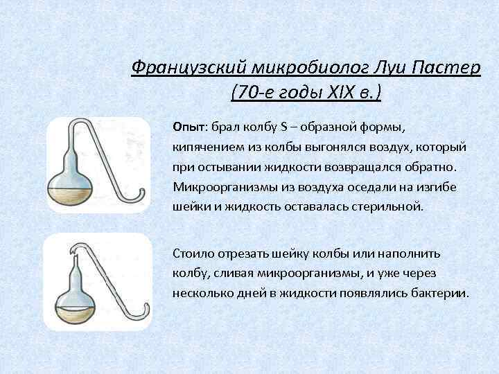 Французский микробиолог Луи Пастер (70 -е годы XIX в. ) Опыт: брал колбу S