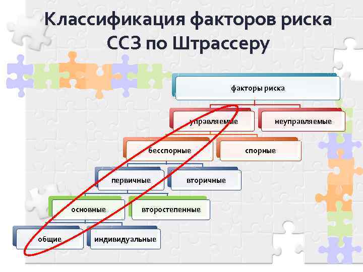 Классификация факторов риска ССЗ по Штрассеру факторы риска управляемые бесспорные первичные основные общие вторичные