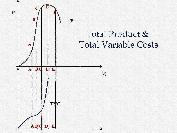 C P D E B TP Total Product & Total Variable Costs A A