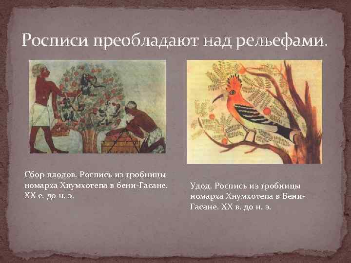Росписи преобладают над рельефами. Сбор плодов. Роспись из гробницы номарха Хнумхотепа в бени-Гасане. XX