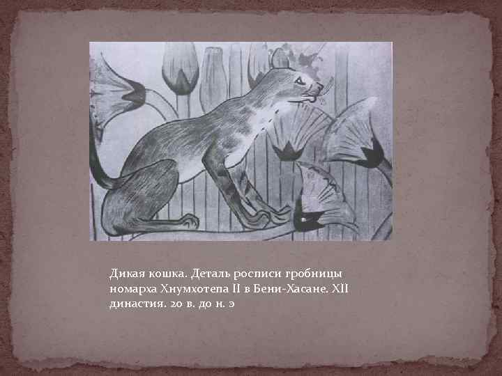 Дикая кошка. Деталь росписи гробницы номарха Хнумхотепа II в Бени-Хасане. XII династия. 20 в.