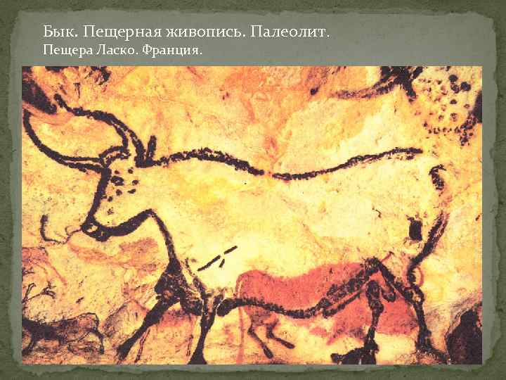 Бык. Пещерная живопись. Палеолит. Пещера Ласко. Франция. 