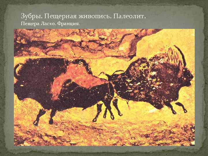 Зубры. Пещерная живопись. Палеолит. Пещера Ласко. Франция. 