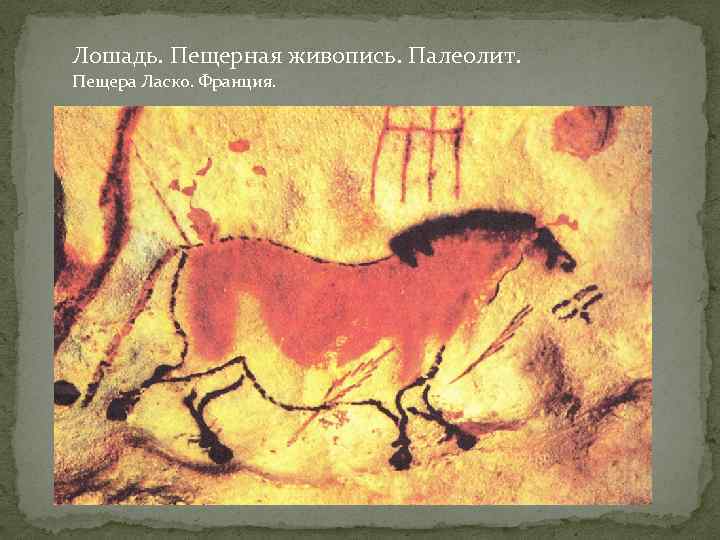 Лошадь. Пещерная живопись. Палеолит. Пещера Ласко. Франция. 