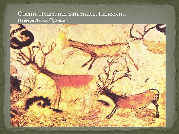Олени. Пещерная живопись. Палеолит. Пещера Ласко. Франция. 