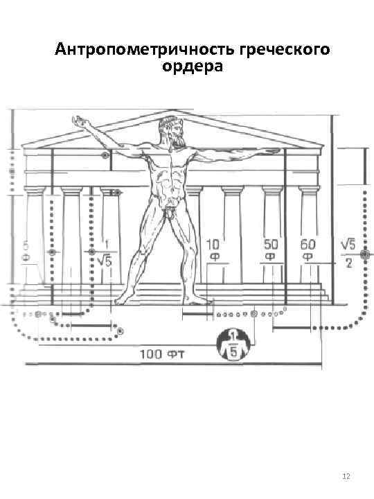 Антропометричность греческого ордера 12 