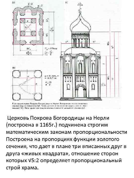  Церковь Покрова Богородицы на Нерли (построена в 1165 г. ) подчинена строгим математическим