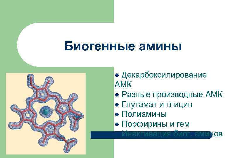 Биогенные амины Декарбоксилирование АМК l Разные производные АМК l Глутамат и глицин l Полиамины