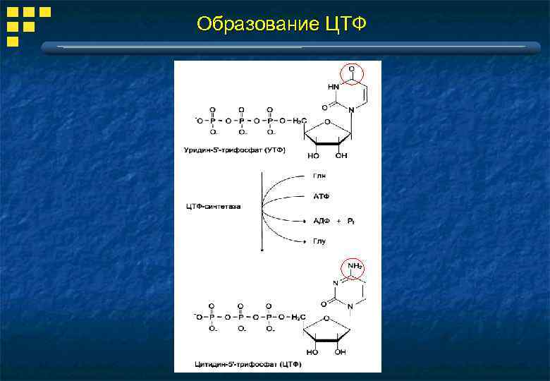 Образование ЦТФ 