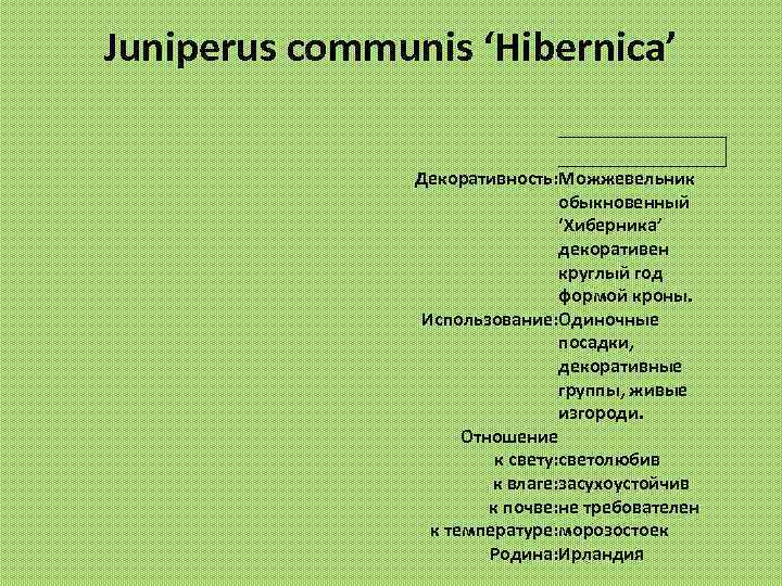 Juniperus communis ‘Hibernica’ Декоративность: Можжевельник обыкновенный ‘Хиберника’ декоративен круглый год формой кроны. Использование: Одиночные