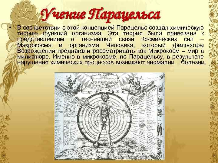 Учение Парацельса • В соответствии с этой концепцией Парацельс создал химическую теорию функций организма.