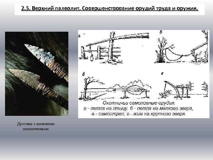 2. 5. Верхний палеолит. Совершенствование орудий труда и оружия. Дротики с каменным наконечником 