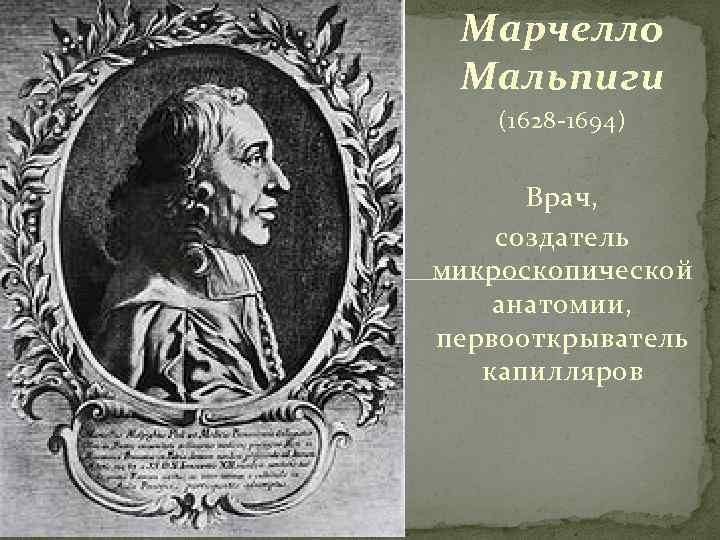 Марчелло Мальпиги (1628 -1694) Врач, создатель микроскопической анатомии, первооткрыватель капилляров 