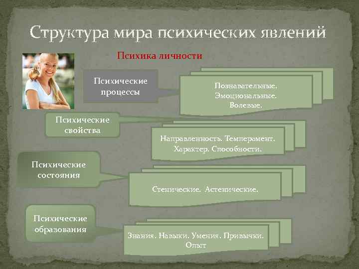  Структура мира психических явлений Психика личности Психические процессы Психические свойства Познавательные. Эмоциональные. Волевые.