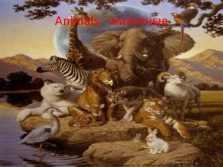 Animals - животные 