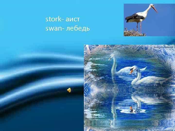 stork- аист swan- лебедь 