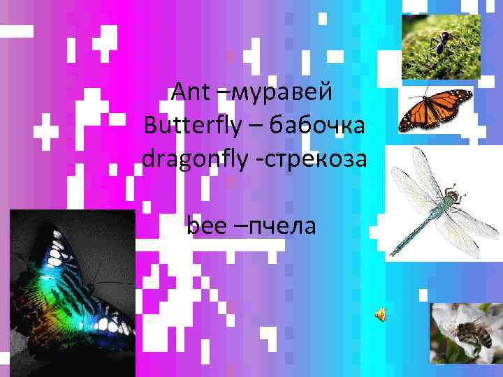 Ant –муравей Butterfly – бабочка dragonfly -стрекоза bee –пчела 