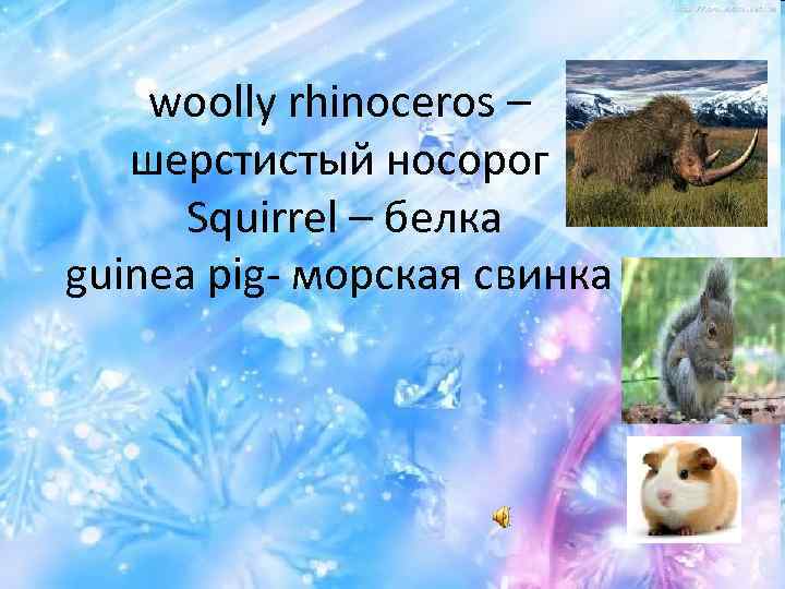 woolly rhinoceros – шерстистый носорог Squirrel – белка guinea pig- морская свинка 