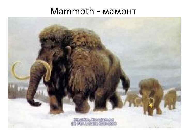 Mammoth - мамонт 