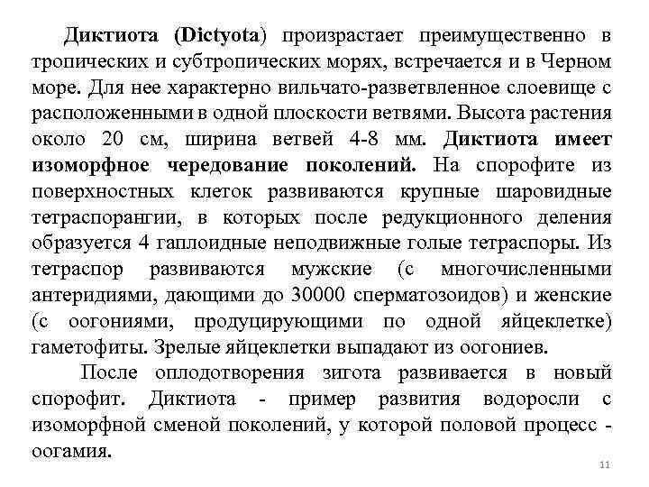 Диктиота (Dictyota) произрастает преимущественно в тропических и субтропических морях, встречается и в Черном море.