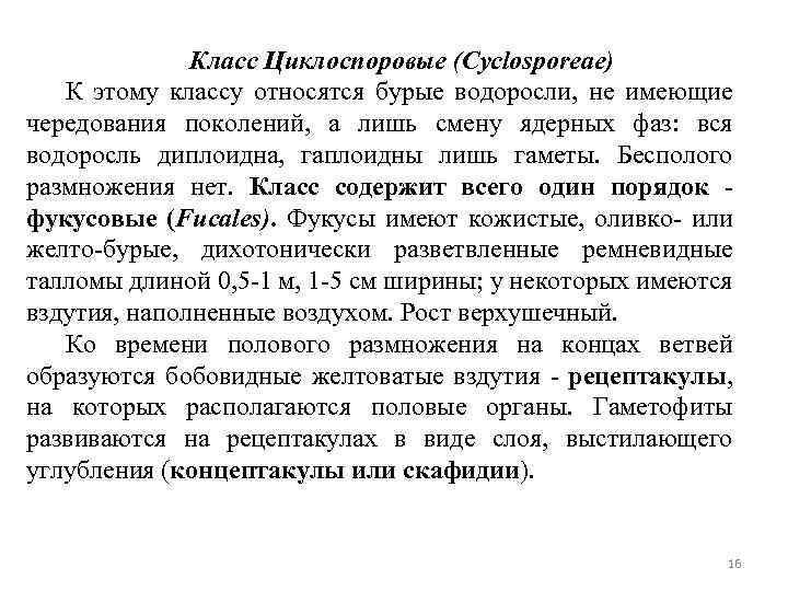 Класс Циклоспоровые (Cyclosporeae) К этому классу относятся бурые водоросли, не имеющие чередования поколений, а