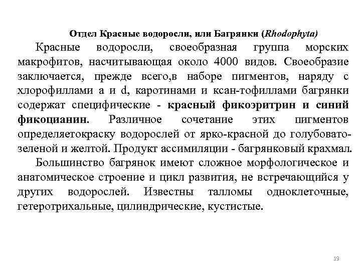 Отдел Красные водоросли, или Багрянки (Rhodophyta) Красные водоросли, своеобразная группа морских макрофитов, насчитывающая около