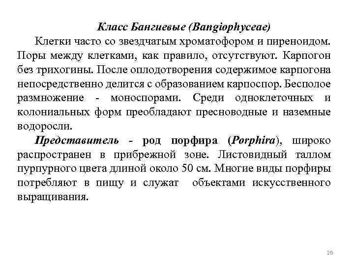 Класс Бангиевые (Bangiophyceae) Клетки часто со звездчатым хроматофором и пиреноидом. Поры между клетками, как