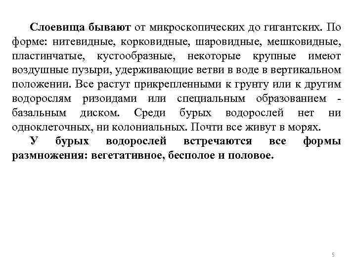 Слоевища бывают от микроскопических до гигантских. По форме: нитевидные, корковидные, шаровидные, мешковидные, пластинчатые, кустообразные,