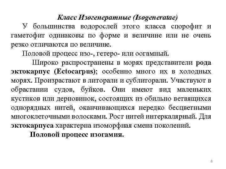 Класс Изогенератные (Isogeneratae) У большинства водорослей этого класса спорофит и гаметофит одинаковы по форме