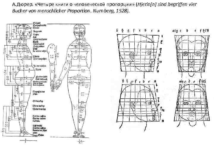 А. Дюрер. «Четыре книги о человеческой пропорции» (Hjerin[n] sind begriffen vier Bucher von menschlicher