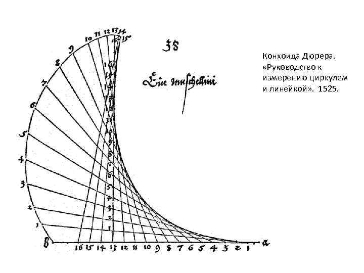 Конхоида Дюрера. «Руководство к измерению циркулем и линейкой» . 1525. 