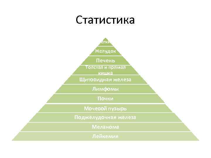 Статистика Легкие Желудок Печень Толстая и прямая кишка Щитовидная железа Лимфомы Почки Мочевой пузырь