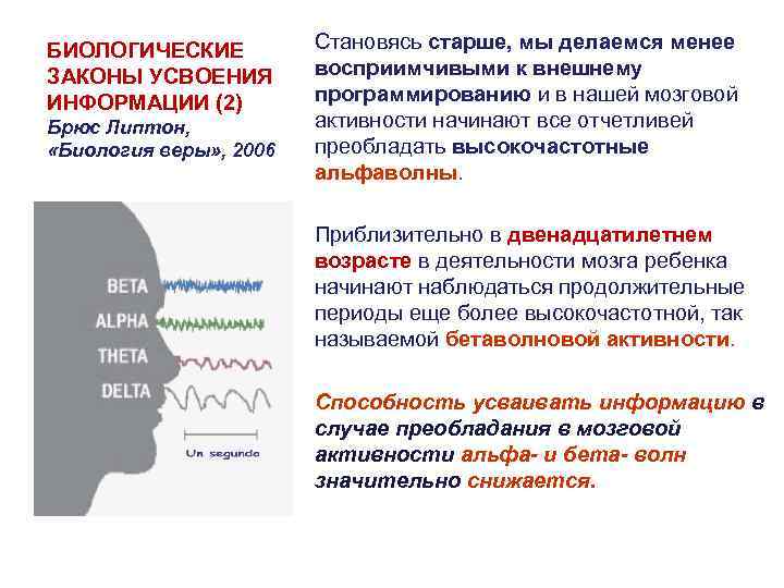 БИОЛОГИЧЕСКИЕ ЗАКОНЫ УСВОЕНИЯ ИНФОРМАЦИИ (2) Брюс Липтон, «Биология веры» , 2006 Становясь старше, мы