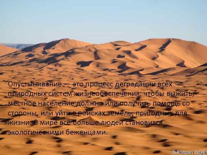 Опустынивание — это процесс деградации всех природных систем жизнеобеспечения: чтобы выжить, местное население должно