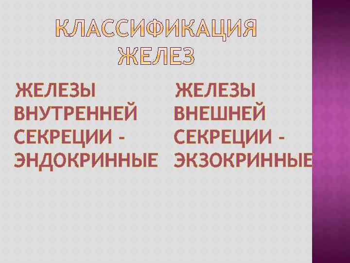 ЖЕЛЕЗЫ ВНУТРЕННЕЙ СЕКРЕЦИИ ЭНДОКРИННЫЕ ЖЕЛЕЗЫ ВНЕШНЕЙ СЕКРЕЦИИ ЭКЗОКРИННЫЕ 