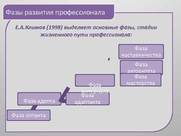 Фазы развития профессионала Е. А. Климов (1998) выделяет основные фазы, стадии жизненного пути профессионала: