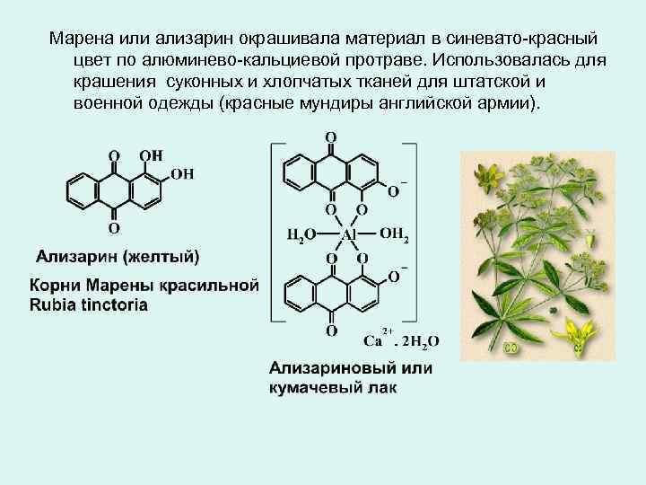 Марена или ализарин окрашивала материал в синевато-красный цвет по алюминево-кальциевой протраве. Использовалась для крашения
