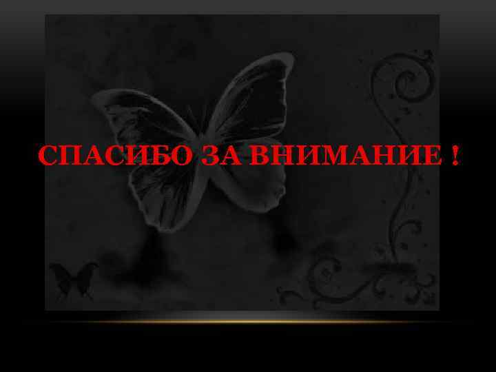 СПАСИБО ЗА ВНИМАНИЕ ! 