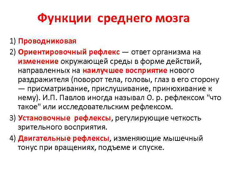 Функции среднего мозга 1) Проводниковая 2) Ориентировочный рефлекс — ответ организма на изменение окружающей