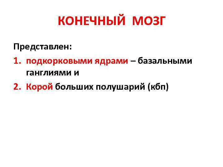 КОНЕЧНЫЙ МОЗГ Представлен: 1. подкорковыми ядрами – базальными ганглиями и 2. Корой больших полушарий