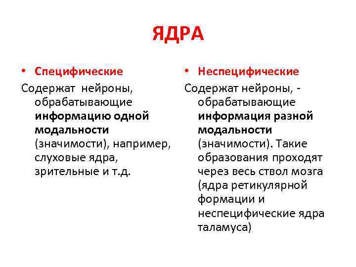 ЯДРА • Специфические • Неспецифические Содержат нейроны, обрабатывающие информацию одной информация разной модальности (значимости),