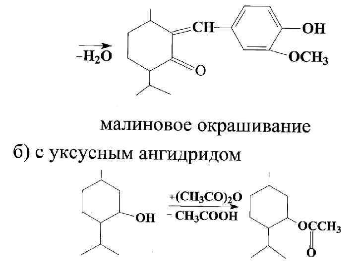 Презентация на тему терпены