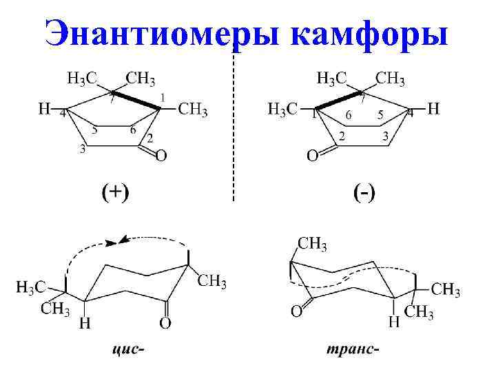 Энантиомеры камфоры 