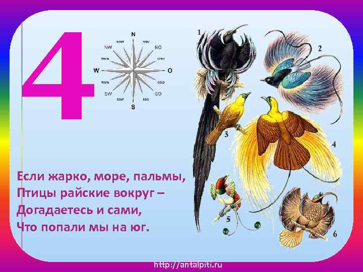4 Если жарко, море, пальмы, Птицы райские вокруг – Догадаетесь и сами, Что попали